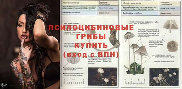 прущая мука Тавда