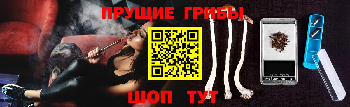 Татарск  Псилоцибиновые грибы GOLDEN TEACHER  Псилоцибиновые грибы ЛСД  Вход с VPN 